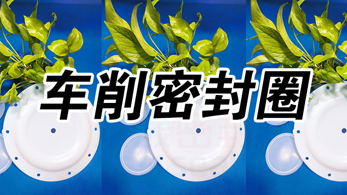 2車削密封圈，氣動隔膜泵膜片密封件