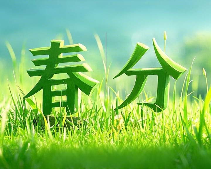 春分啟衡·東晟智封丨0.01毫米的陰陽(yáng)相濟(jì)之道！