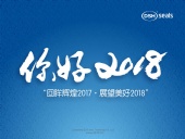 東晟密封件“回眸輝煌2017·展望美好2018！”