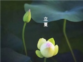 立夏已至，萬物向陽；